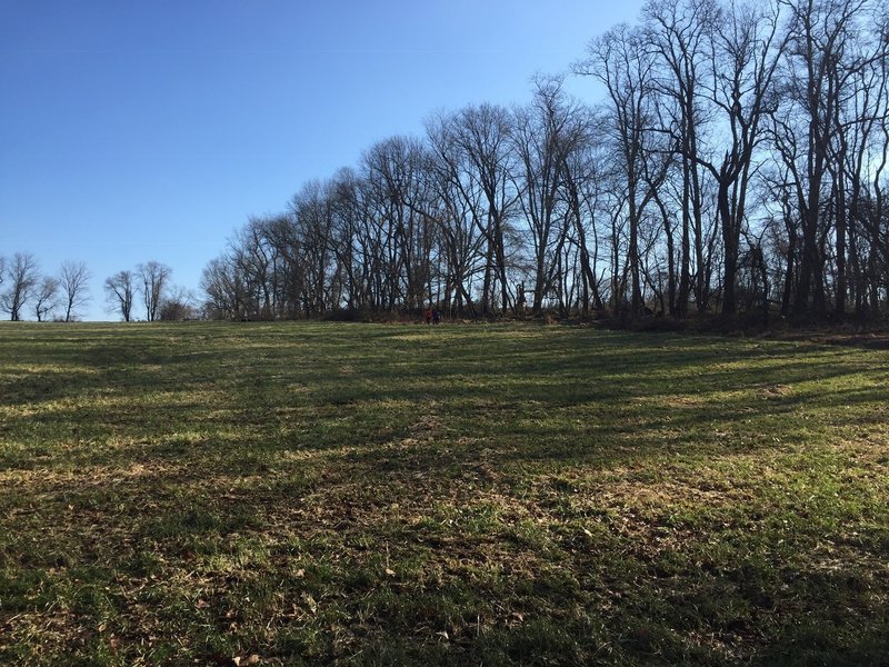 A trail through a meadow in Marshall Bridge Preserve Trail