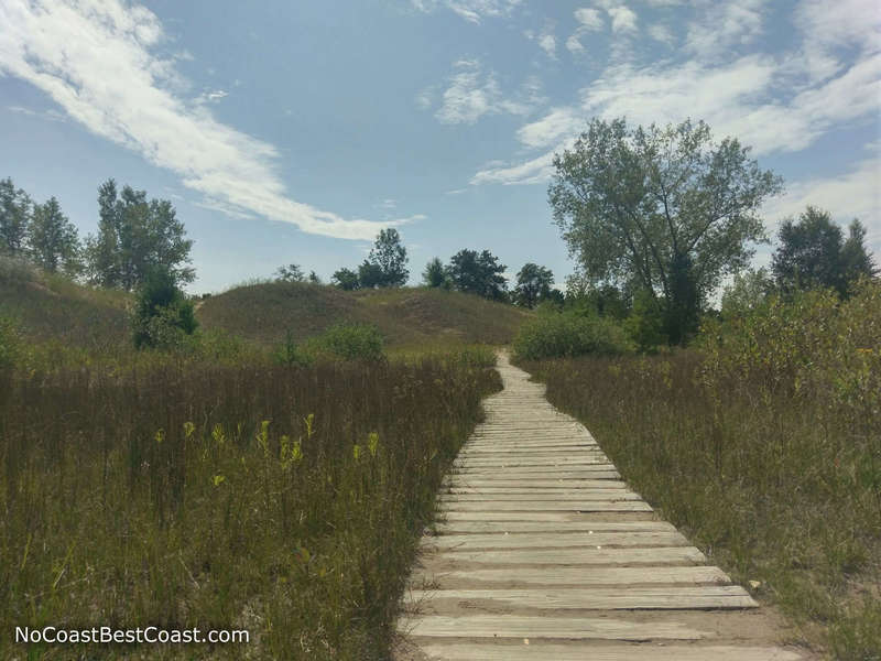 The Kohler Dunes Cordwalk as it stretches across grassy sand dunes.