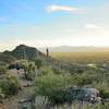 View south from the top of Alamo Spring Trail