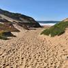 Hiking down to the beach through the Fort Ord dunes