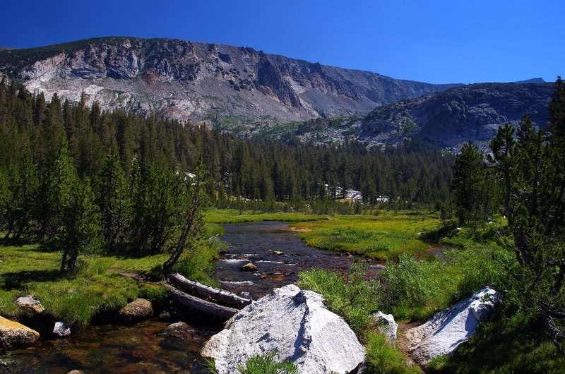 At the headwaters of Lewis Creek