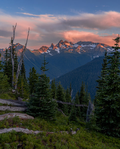 Cowlitz Chimmney's From Silver Forest Trail