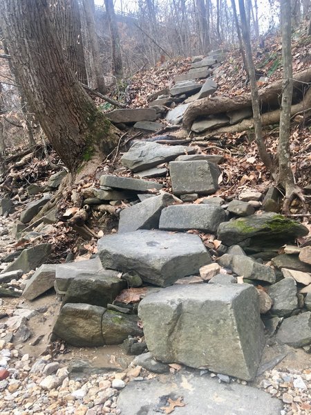 Potomac Heritage Trail x Pimmit Run - Stone Steps