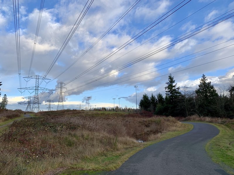 Walking Along the BPA Trail