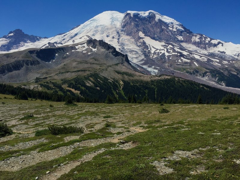 Mt Rainier from Skyscraper Pass, with Third Burroughs in foreground