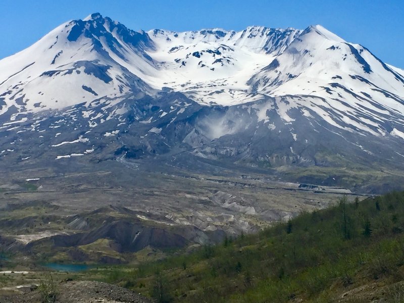 Mt St Helens from Boundary Trail