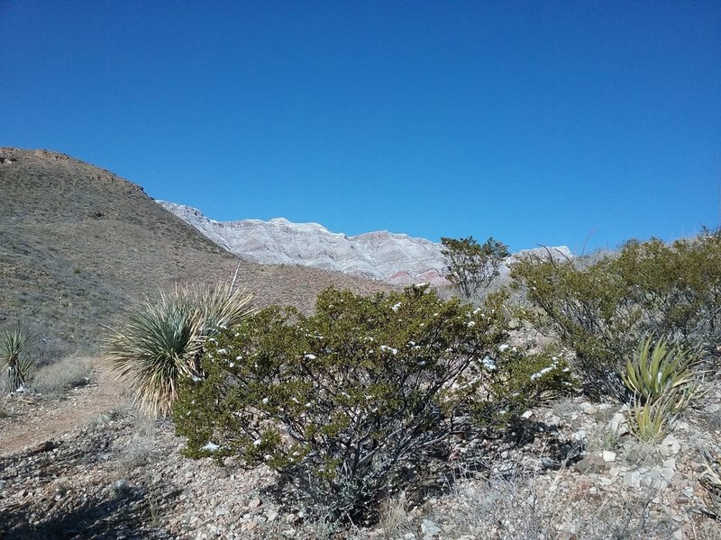 View of Cardiac hill in the winter