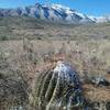 View of  Franklin Mountains from the trail