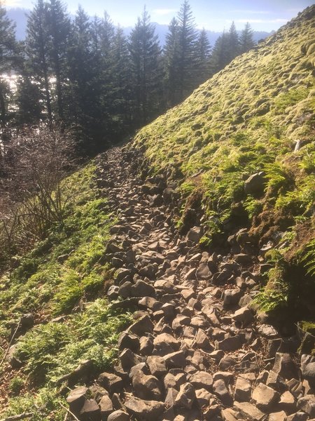 Cape Horn Loop Rocky Trail on Lower Section