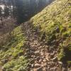 Cape Horn Loop Rocky Trail on Lower Section