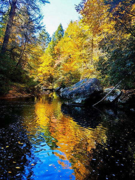 Fall color at the mouth of Cane Creek.