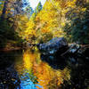 Fall color at the mouth of Cane Creek.