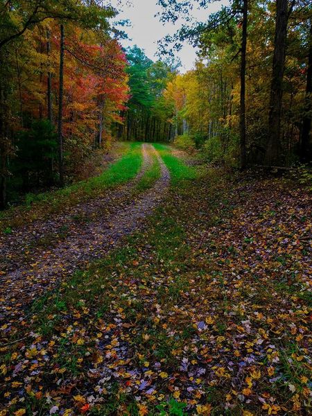 The forest service road at top near trailhead.