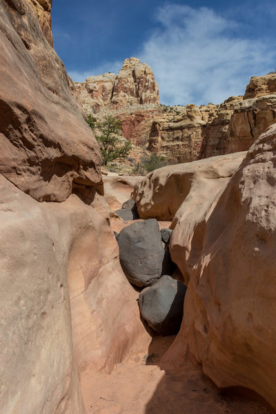 Volcanic boulders stuck in the crevasses of Lower Spring Canyon.