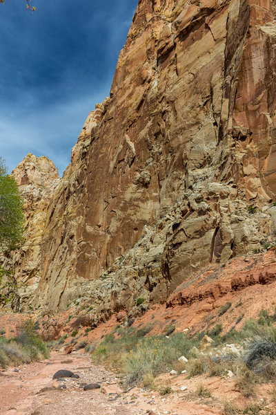 The wash in Lower Spring Canyon is often just a few feet wide.