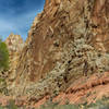 The wash in Lower Spring Canyon is often just a few feet wide.