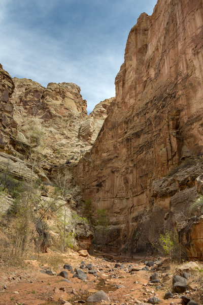 Some turns in Lower Spring Canyon are right along walls more than 100 feet tall.