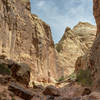 Boulders - big and small - line the way through all of Lower Spring Canyon.