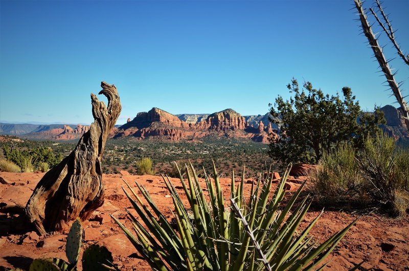 Views of Sedona