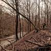 Shoal Creek Trail