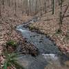 Intermittent Stream along Connector #5 Trail.