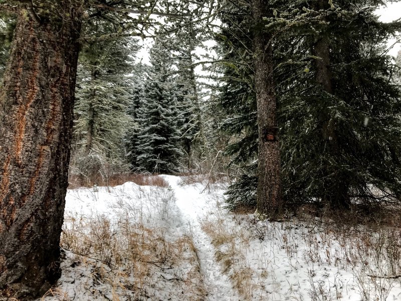 Just above Hodgeman Creek.