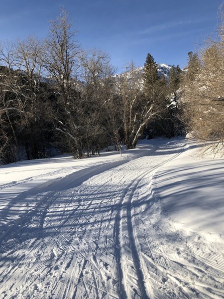 Cross country ski trail up Green Canyon 1/1/2019.