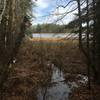 A creek flowing into Grass Lake.