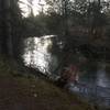 View of a bend in the Pigeon River.