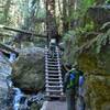 Ladder on Steep Ravine Trail, about a mile from Pan Toll Ranger Station.