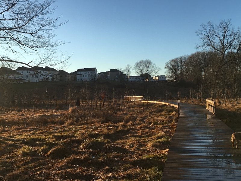 Boardwalk looking back towards the development