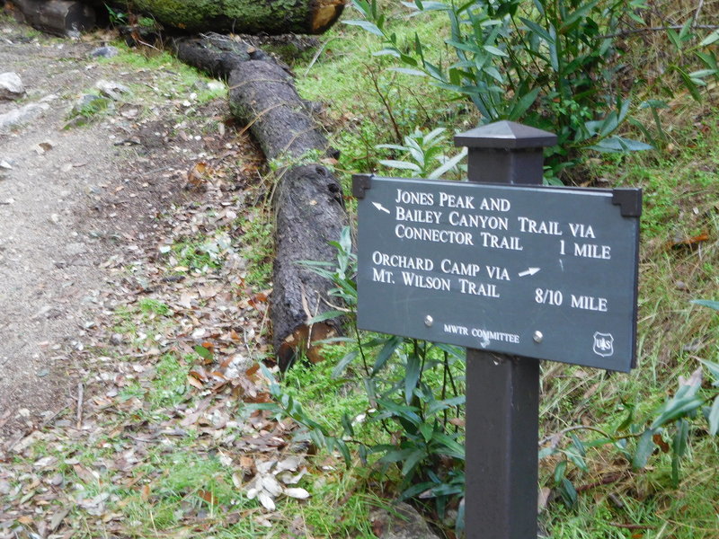 Junction on the Mt. Wilson Trail and the Jones Peak Connector.