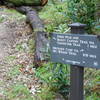 Junction on the Mt. Wilson Trail and the Jones Peak Connector.