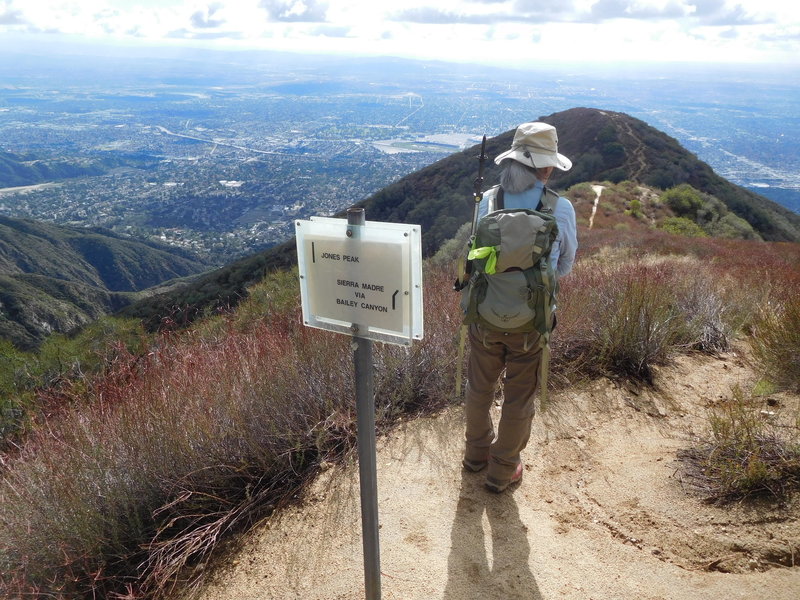 Jones Peak connector terminus looking south at Jones Peak. Proceed down to connect with the Bailey Canyon Trail.