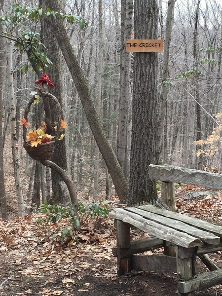 Bench on the Cricket Overlook