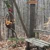 Bench on the Cricket Overlook