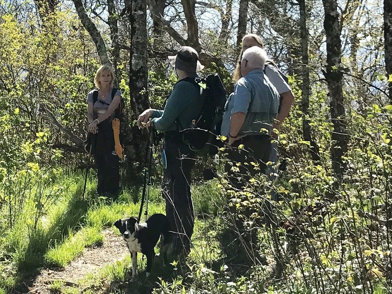 Benton MacKaye Trail