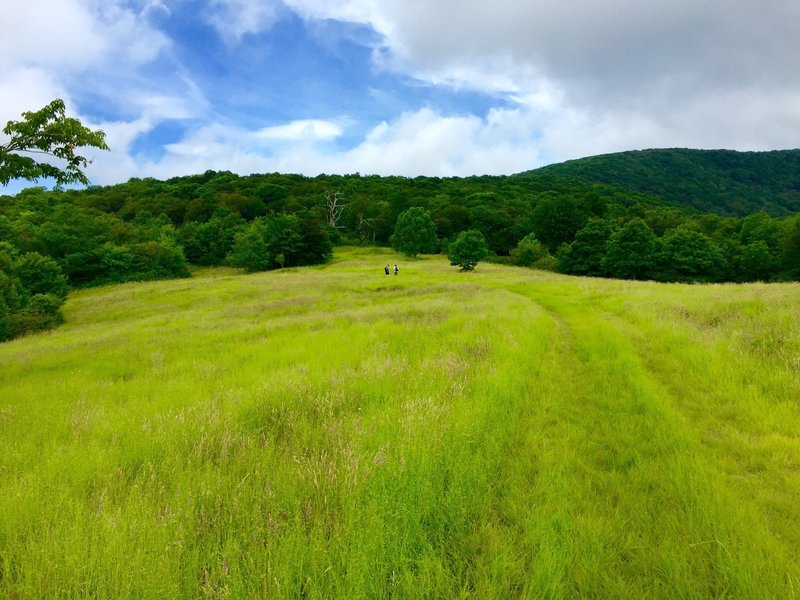 Whigg Meadow - so awsome.