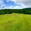 Whigg Meadow - so awsome.