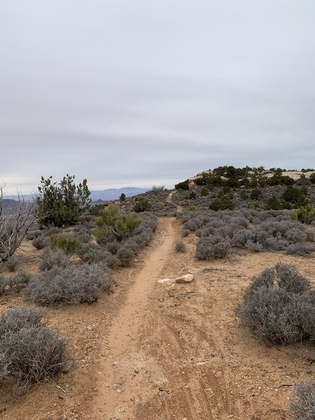 South Rim Trail