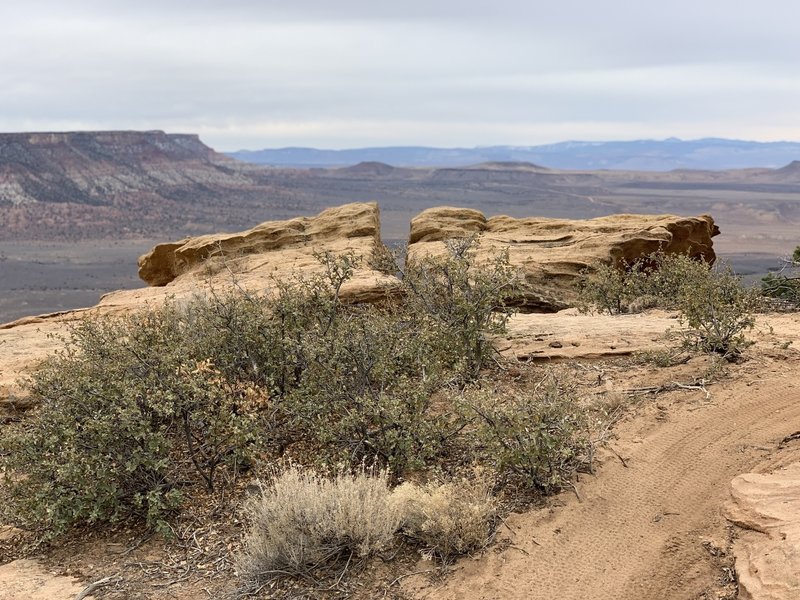 South Rim Trail