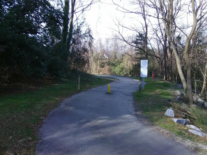 Trail along Rocky Branch