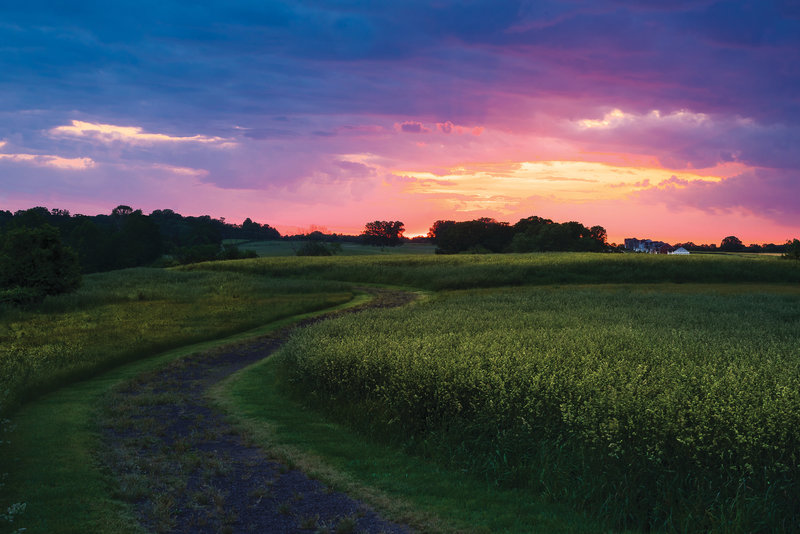 Sunset at the First Day of Chancellorsville battlefield.