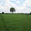 View of Fleetwood Hill looking to the south.