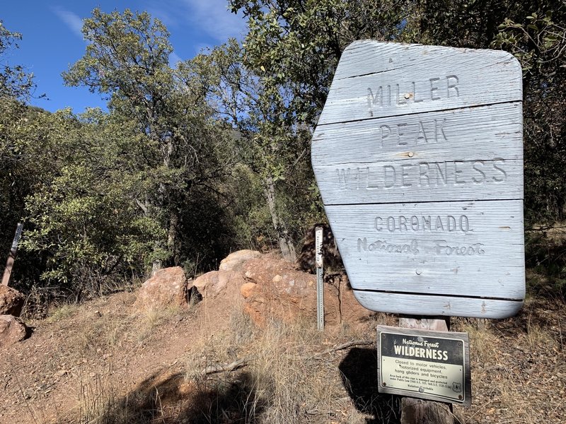 Miller Peak Wilderness boundary sign at trailhead