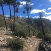 Ida Canyon Trail departing from Bear Saddle