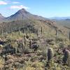 Brown Mountain Loop - five very happy hikers!