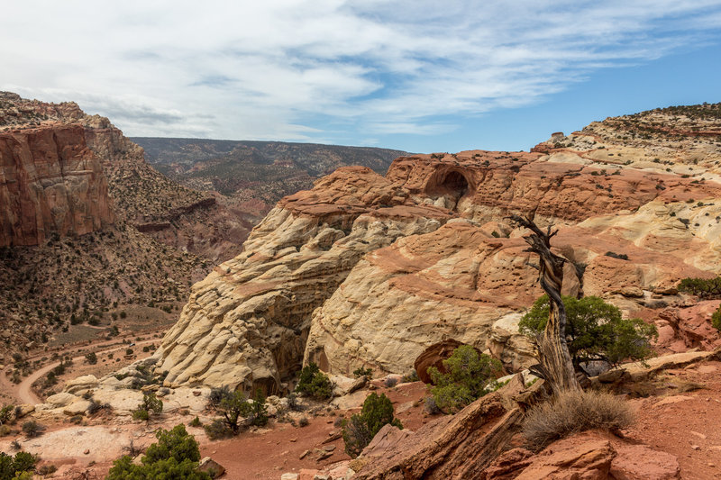 Cassidy Arch from afar with Grand Wash on the left.