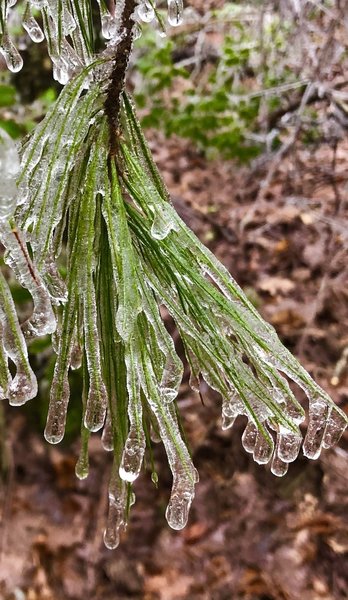 Ice at the Hike Inn