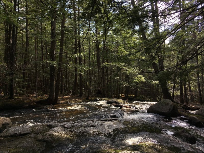 Top of the Cascades (looking downstream)